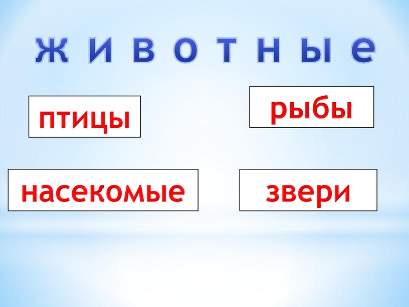 ж и в о т н ы е птицы рыбы насекомые звери