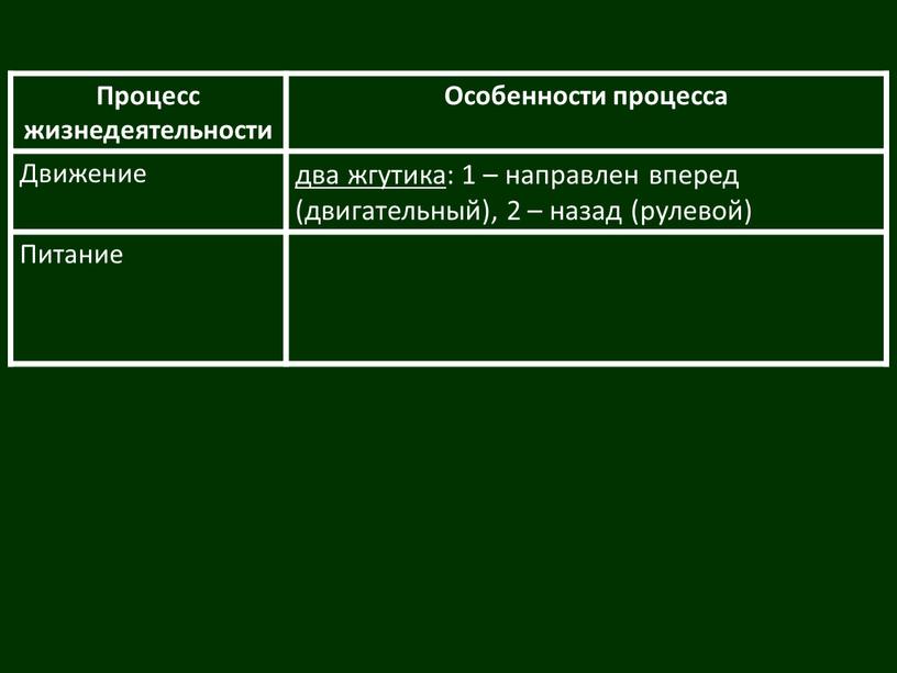 Процесс жизнедеятельности Особенности процесса