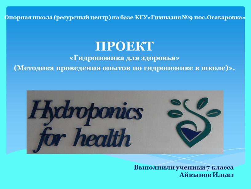 ПРОЕКТ «Гидропоника для здоровья» (Методика проведения опытов по гидропонике в школе)»
