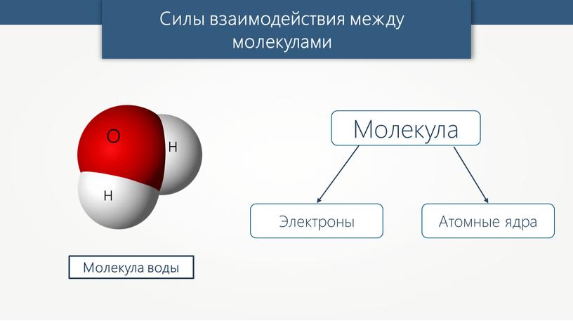 Молекула воды Силы взаимодействия между молекулами