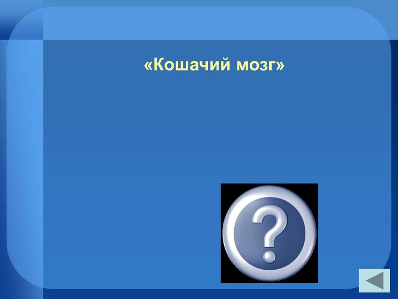 «Кошачий мозг» «Собачье сердце»