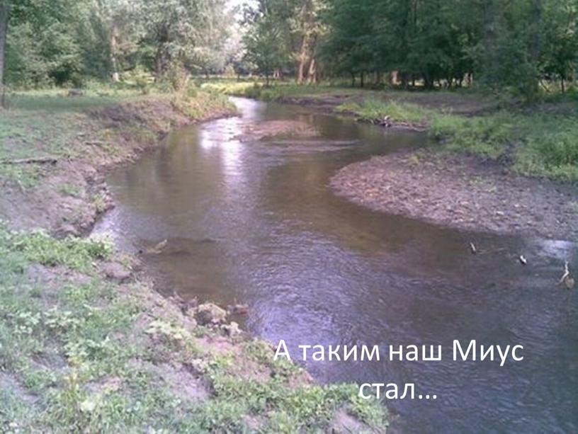 А таким наш Миус стал…