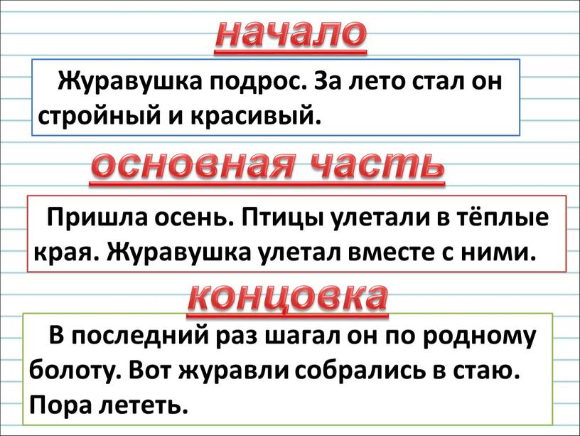 Журавушка подрос. За лето стал он стройный и красивый