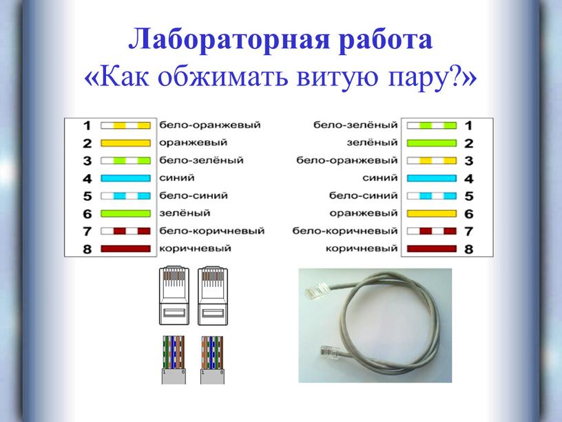 Лабораторная работа « Как обжимать витую пару? »