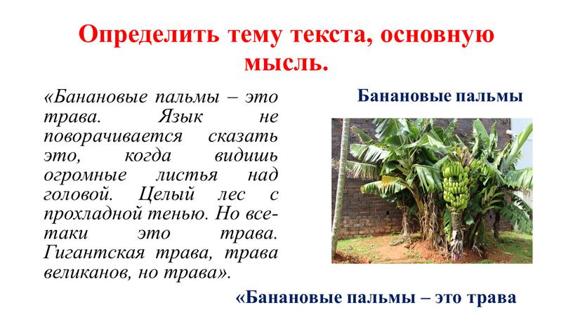 Определить тему текста, основную мысль