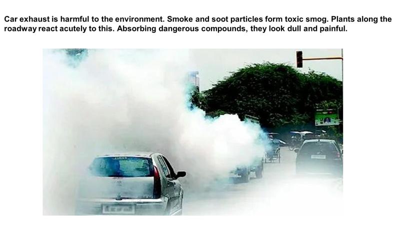 Car exhaust is harmful to the environment