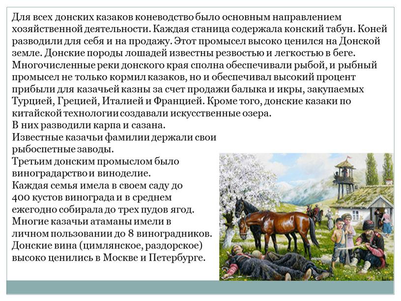 Для всех донских казаков коневодство было основным направлением хозяйственной деятельности