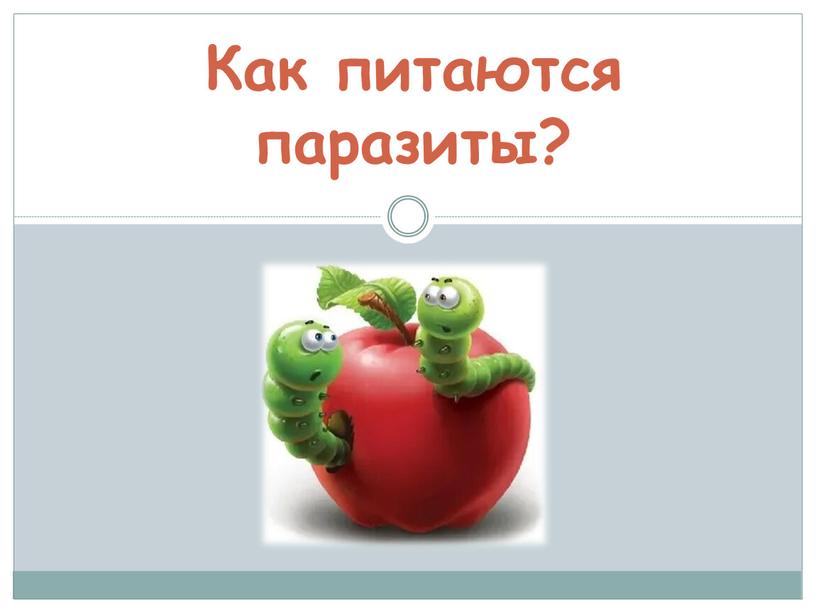 Как питаются паразиты?