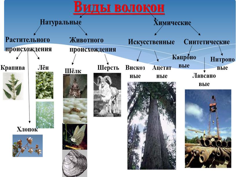 ПРЕЗЕНТАЦИЯ К УРОКУ МАТЕРИАЛОВЕДЕНИЕ НА ТЕМУ : "НАТУРАЛЬНЫЕ ВОЛОКНА РАСТИТЕЛЬНОГО ПРОИСХОЖДЕНИЯ""