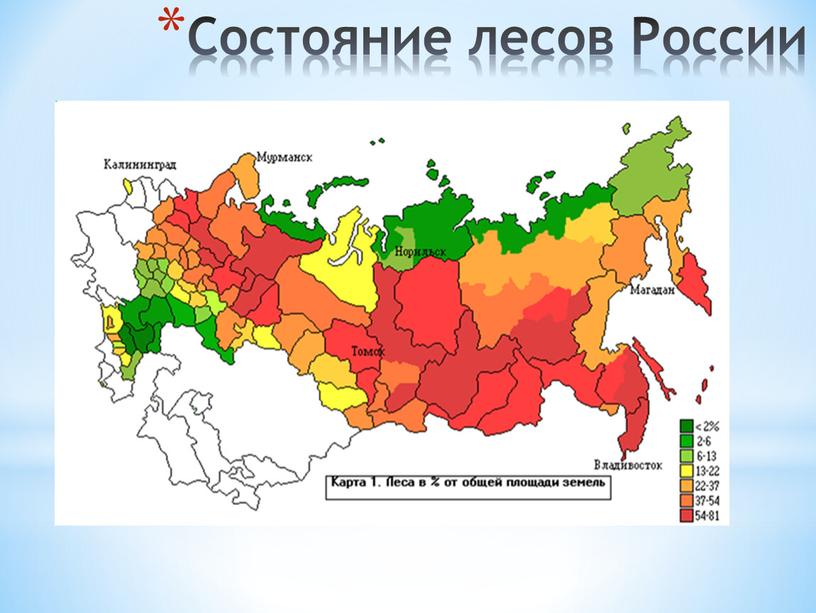 Состояние лесов России