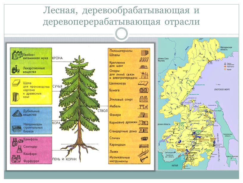 Лесная, деревообрабатывающая и деревоперерабатывающая отрасли