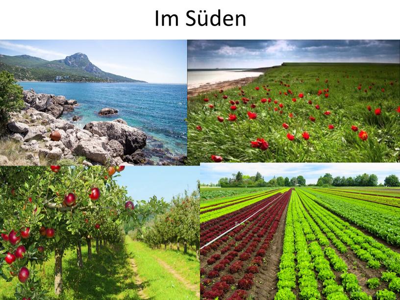 Im Süden