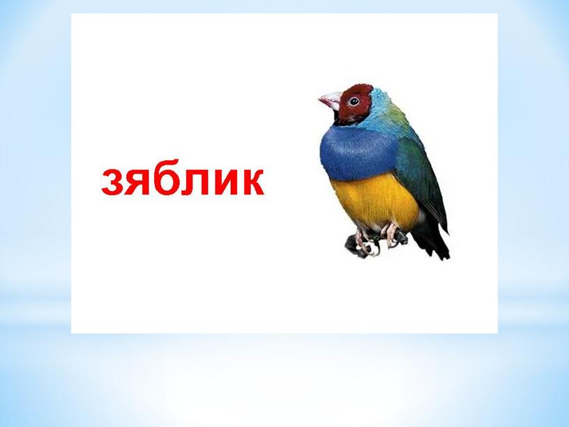 Презентация на тему: "Международный День птиц"