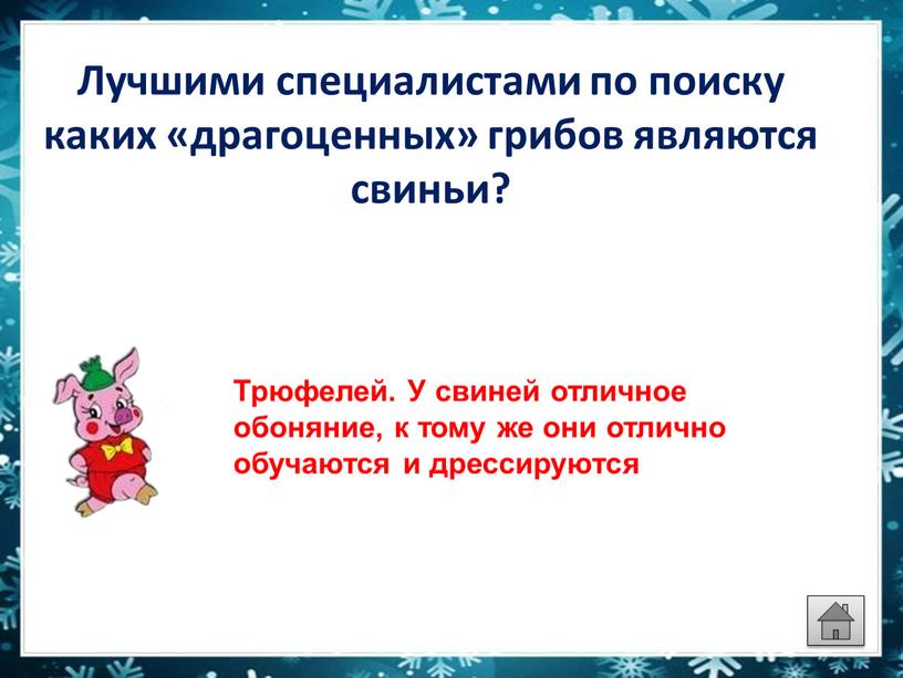 Лучшими специалистами по поиску каких «драгоценных» грибов являются свиньи?