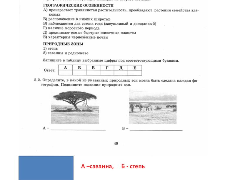 Презентация к уроку географии в 7 классе  "Природные зоны "