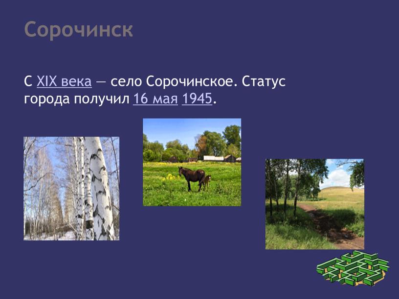 Сорочинск С XIX века — село Сорочинское