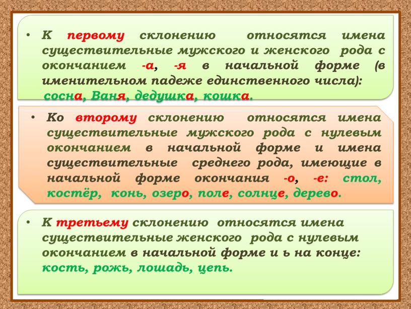 Окончания существительных 2-го и 3-го склонения. Как избежать ошибок