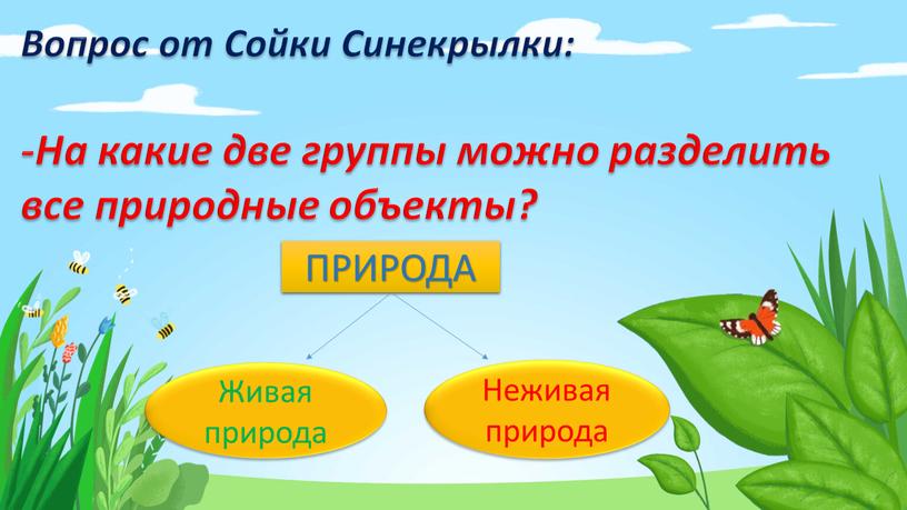 Вопрос от Сойки Синекрылки: -На какие две группы можно разделить все природные объекты?