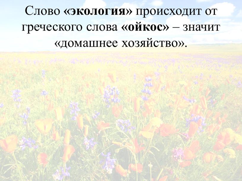 Слово «экология» происходит от греческого слова «ойкос» – значит «домашнее хозяйство»