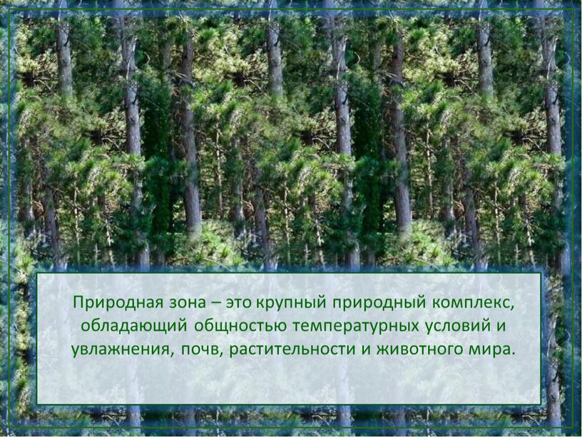 Природная зона – это крупный природный комплекс, обладающий общностью температурных условий и увлажнения, почв, растительности и животного мира