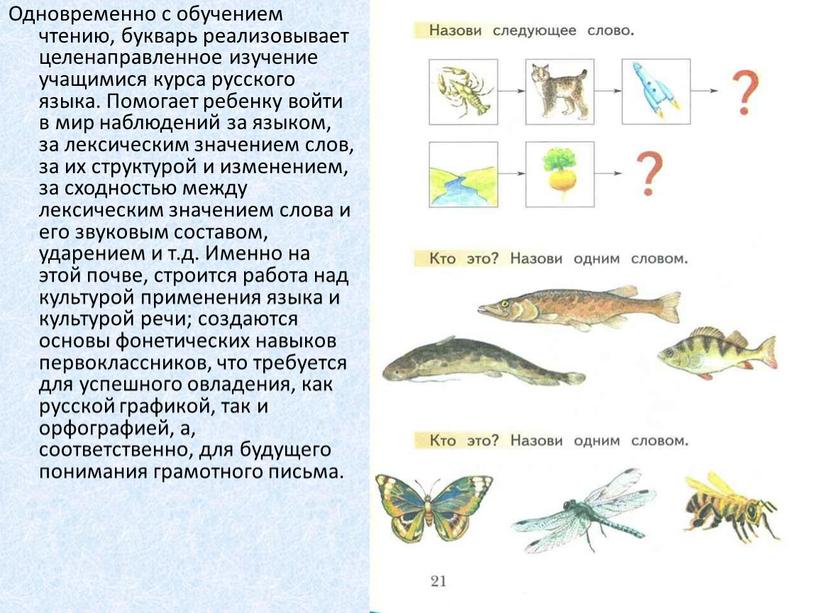 Одновременно с обучением чтению, букварь реализовывает целенаправленное изучение учащимися курса русского языка