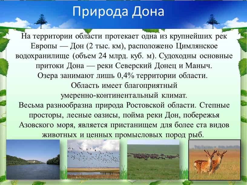 Природа Дона На территории области протекает одна из крупнейших рек