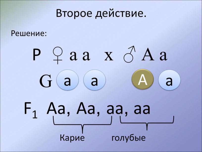 Второе действие. Решение: Р ♀ а а х ♂