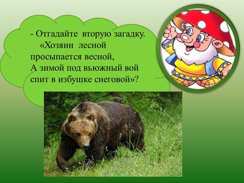 Отгадайте вторую загадку. «Хозяин лесной просыпается весной,
