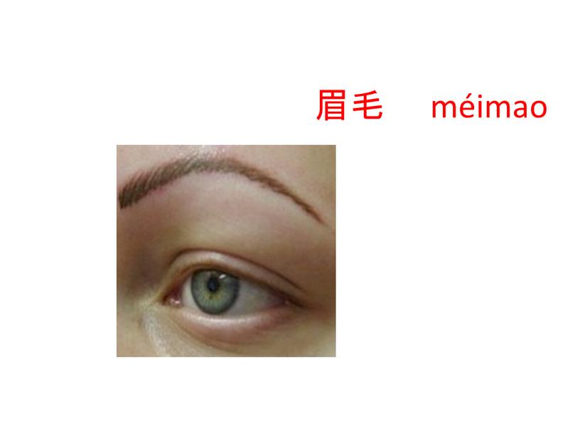 眉毛 méimao