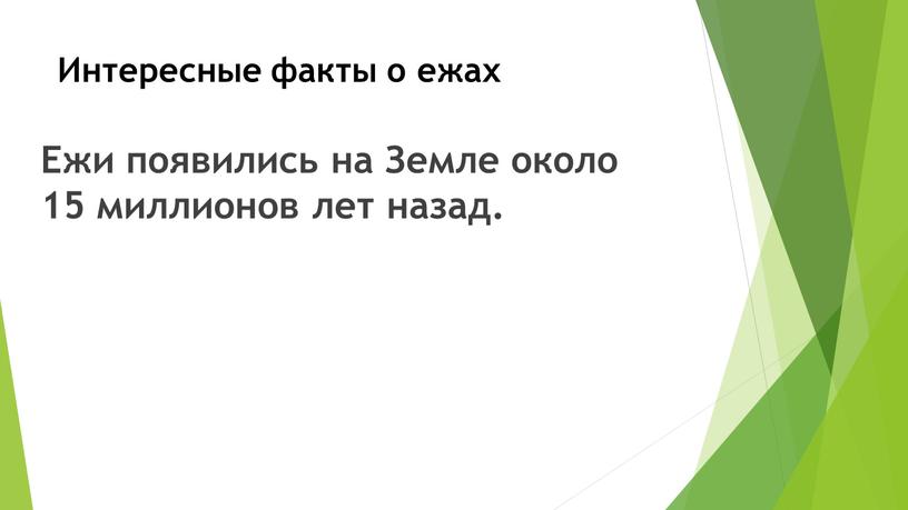 Интересные факты о ежах Ежи появились на