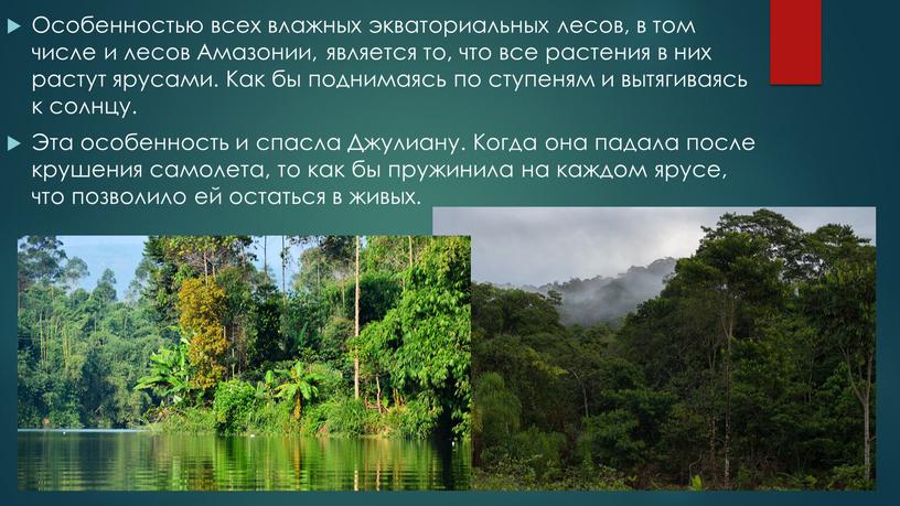 Особенностью всех влажных экваториальных лесов, в том числе и лесов