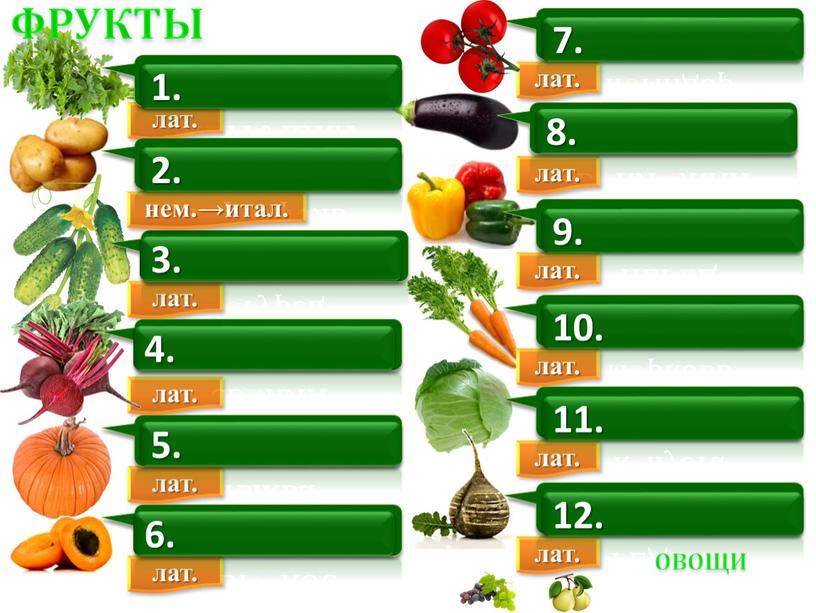 ФРУКТЫ тыква 5. А БР И КОС 6. Огурец 3