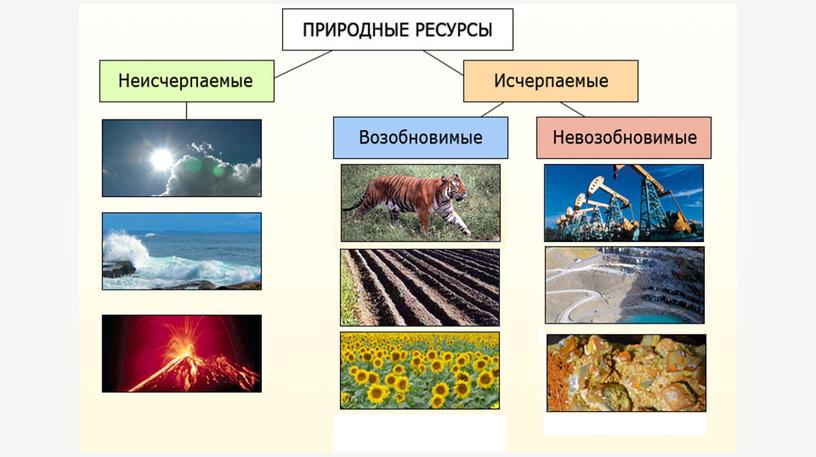 Природные ресурсы: виды и особенности размещения.