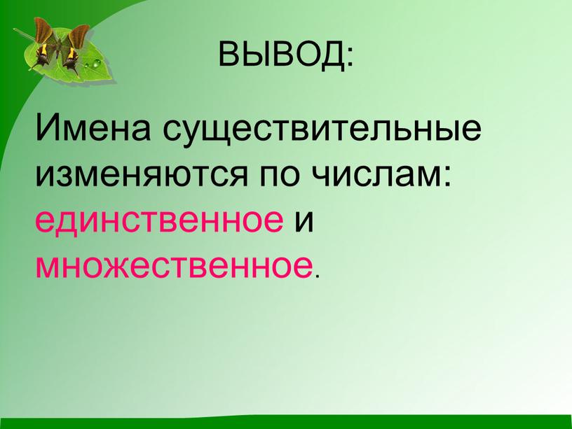 ВЫВОД: Имена существительные изменяются по числам: единственное и множественное