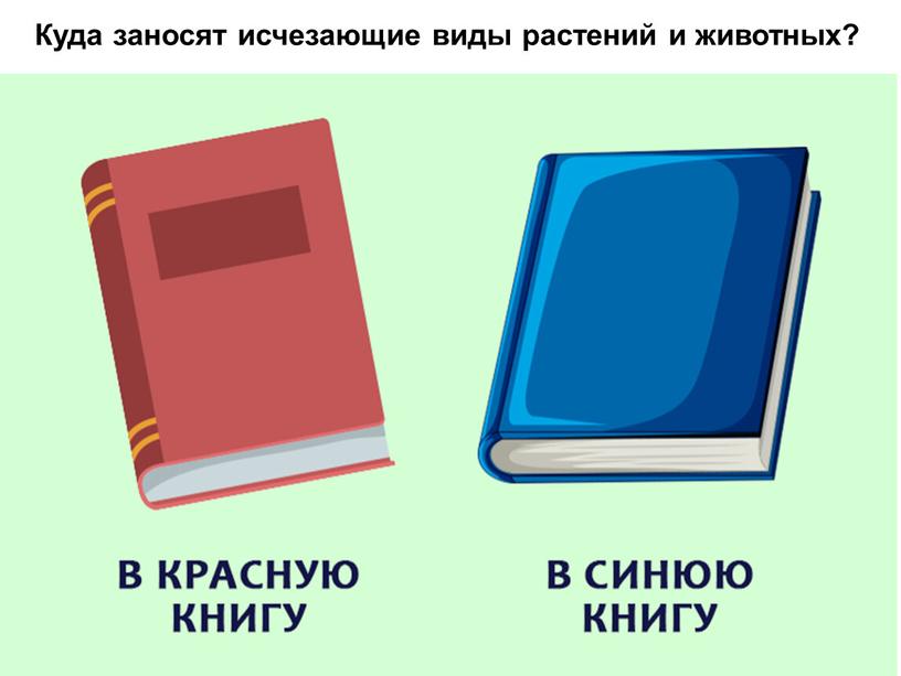 Куда заносят исчезающие виды растений и животных?