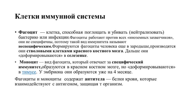 Клетки иммунной системы Фагоцит — клетка, способная поглощать и убивать (нейтрализовать) бактерию или инфекции