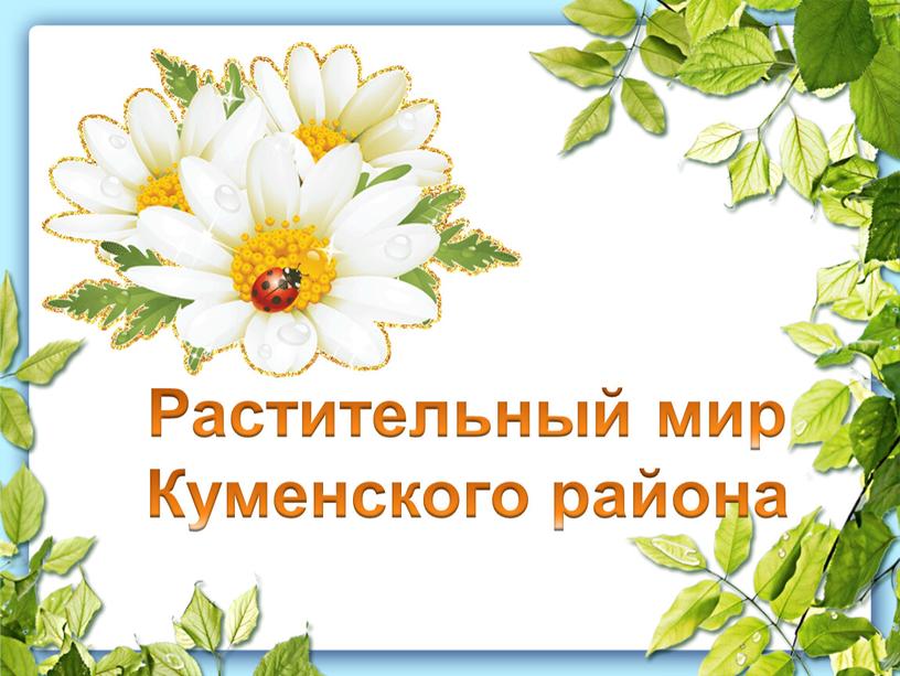 Растительный мир Куменского района