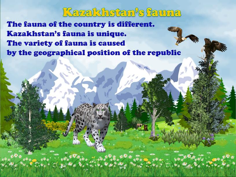 Kazakhstan’s fauna The fauna of the country is different