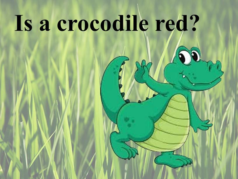 Is a crocodile red?