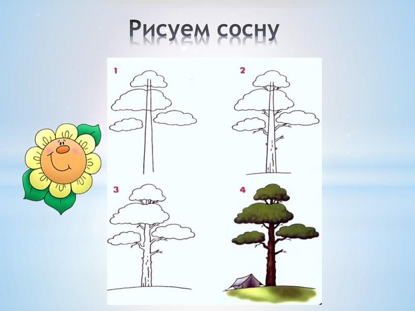 Рисуем сосну