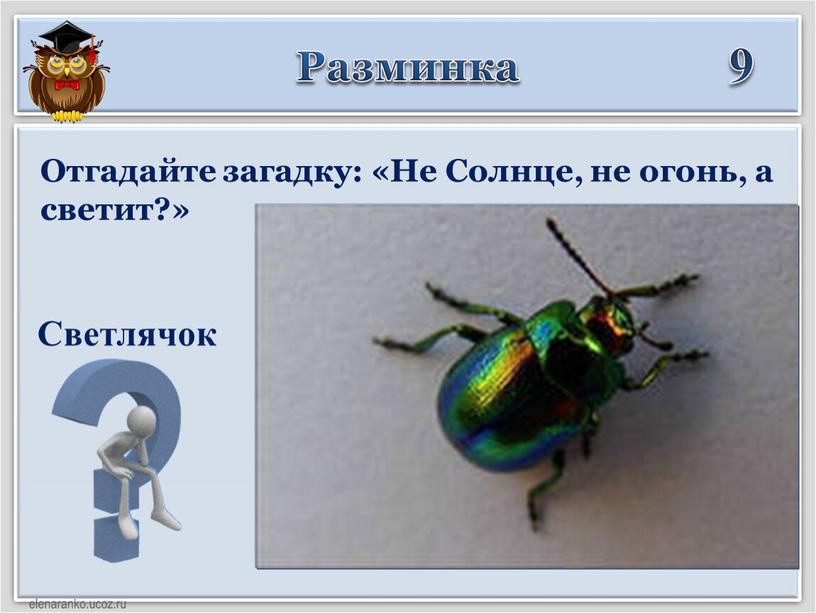 Светлячок Отгадайте загадку: «Не