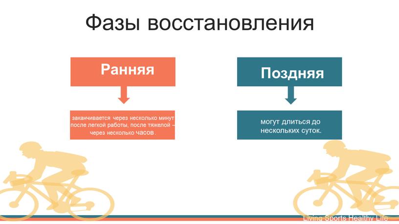 Фазы восстановления могут длиться до нескольких суток