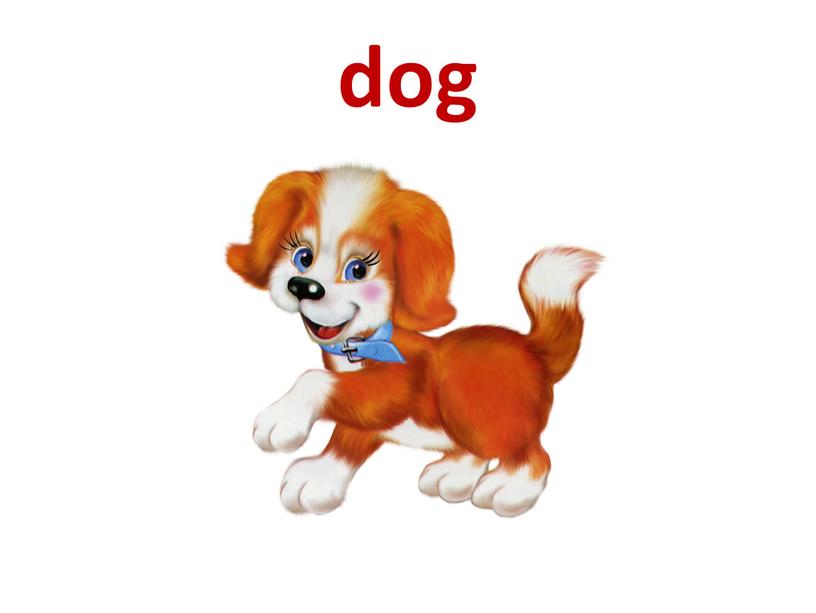 dog