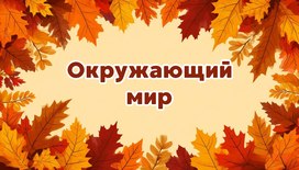 Международная интеллектуальная предметная викторина «Мир знаний». Окружающий мир