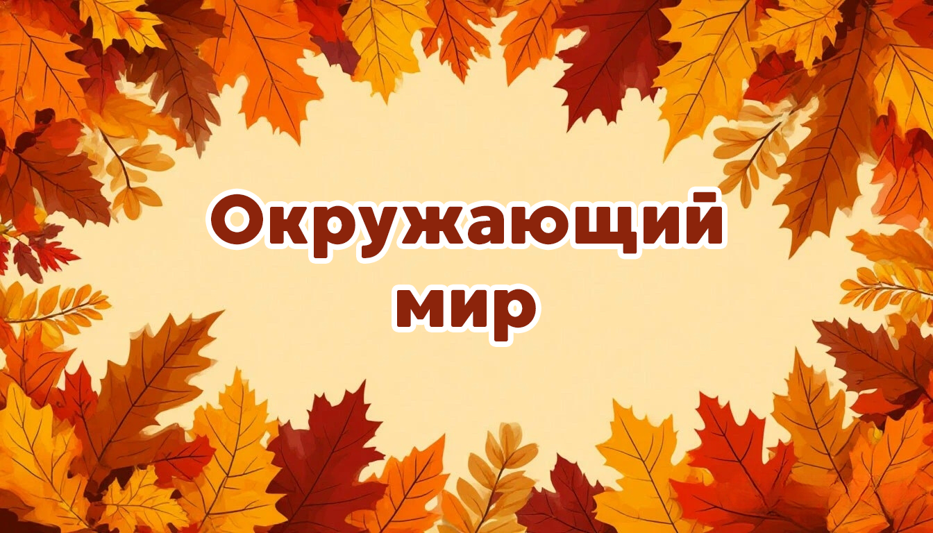 Международная интеллектуальная предметная викторина «Мир знаний». Окружающий мир