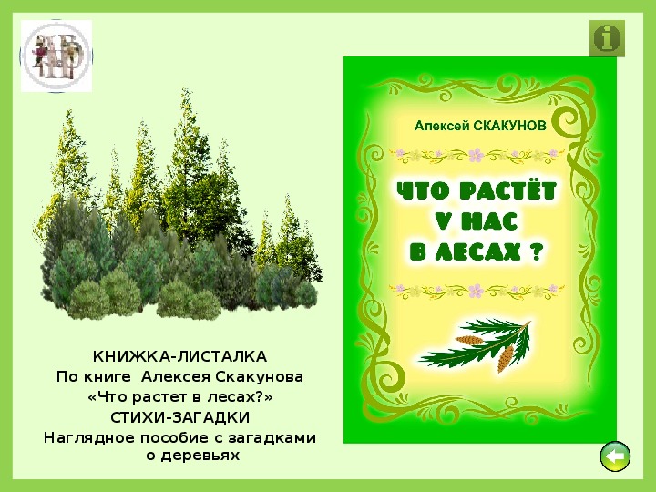 Потому что растет. У нас растет в лесу. Загадки на тему растения в лесу. Загадки про лес. Стихотворение что растет в лесу.