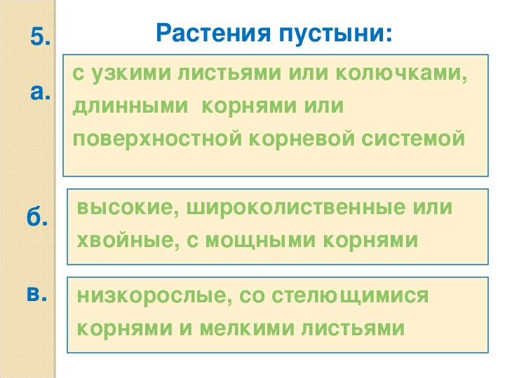 Тест пустыня 4 класс окружающий