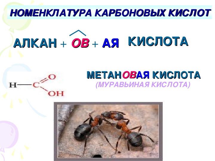 Характеристики муравьиной кислоты