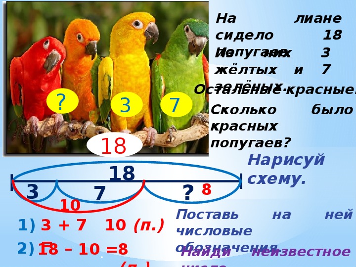 В зоопарке живут 5 видов попугаев каждому. Задачки для попугаев. Решение задач с попугаем. Попугай задачи по математике. Задания с попугаем.