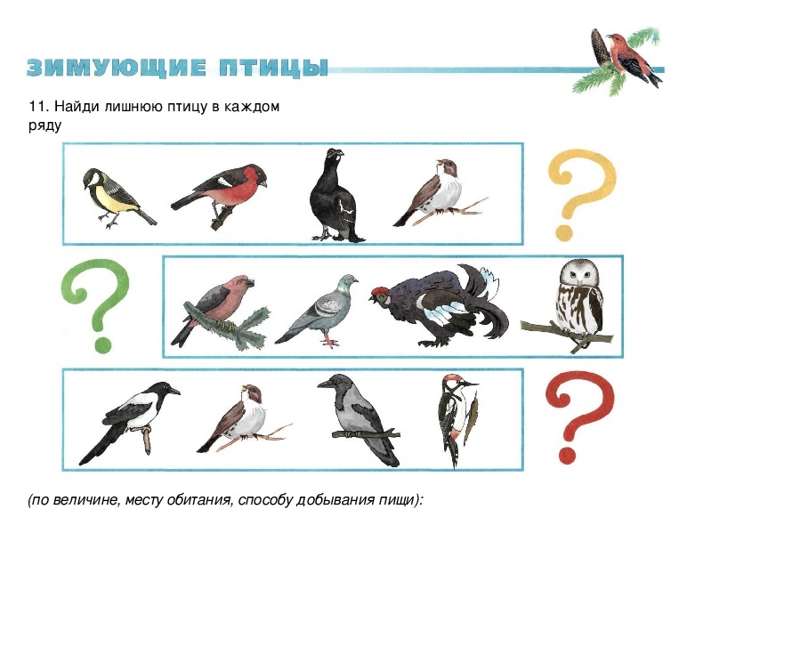 Тест по теме птицы презентация